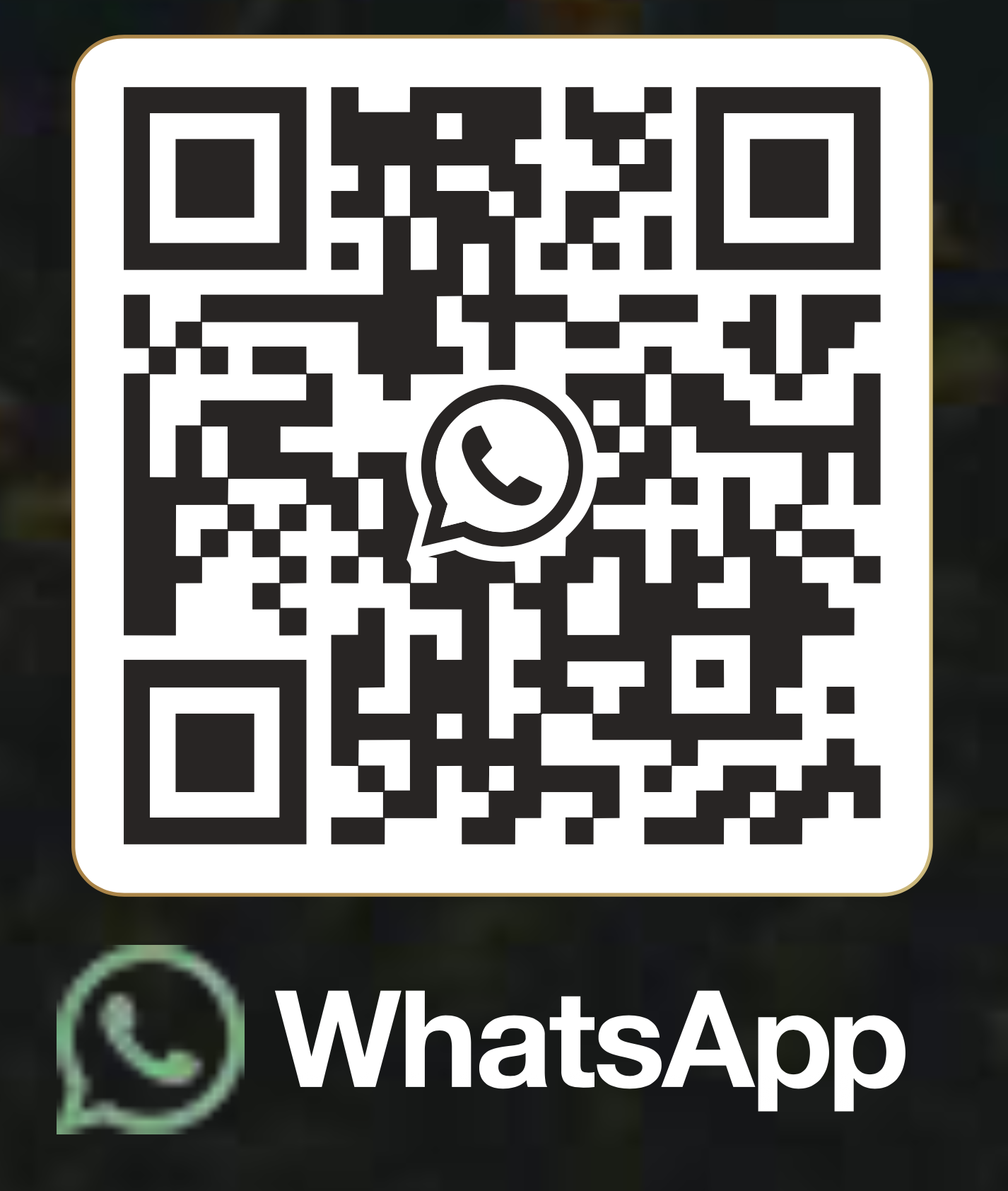 WhatsApp QR